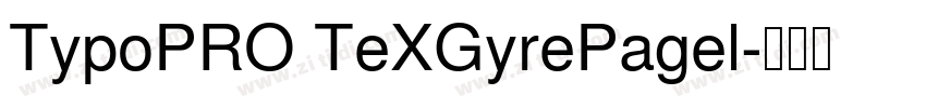 TypoPRO TeXGyrePagel字体转换
